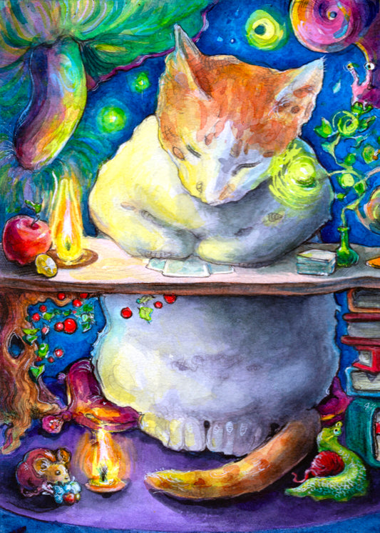 TARO CAT